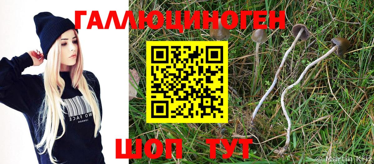 Галлюциногенные грибы прущие грибы  цены   Вход с VPN  Новый Уренгой  Псилоцибиновые грибы MAGIC MUSHROOMS 